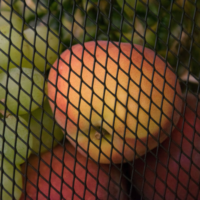 Fruitmand - Groentemand - Picknickmand
